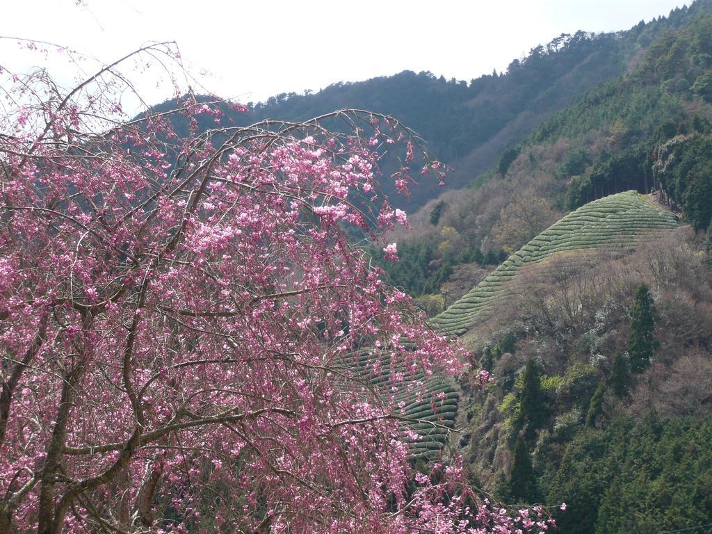 Отель Kyoto Wazukaso Kizugawa Экстерьер фото