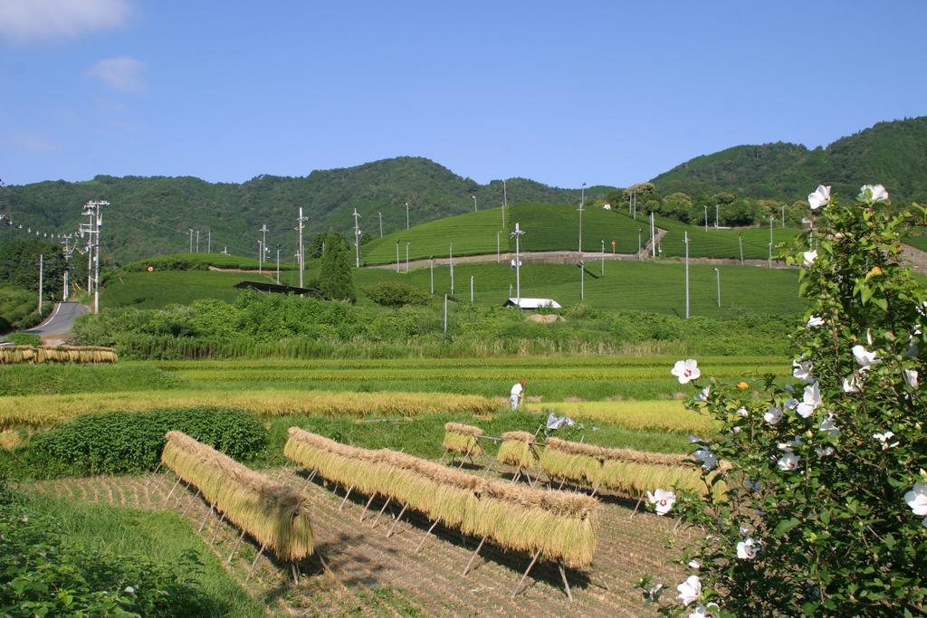 Отель Kyoto Wazukaso Kizugawa Экстерьер фото