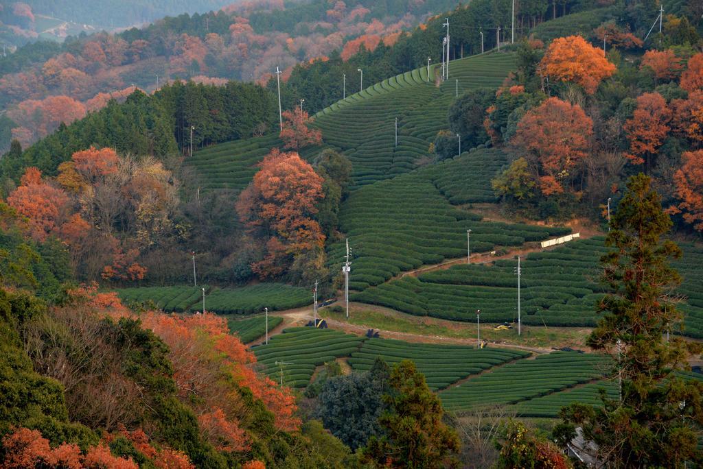 Отель Kyoto Wazukaso Kizugawa Экстерьер фото