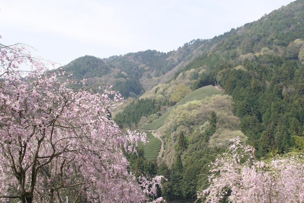 Отель Kyoto Wazukaso Kizugawa Экстерьер фото